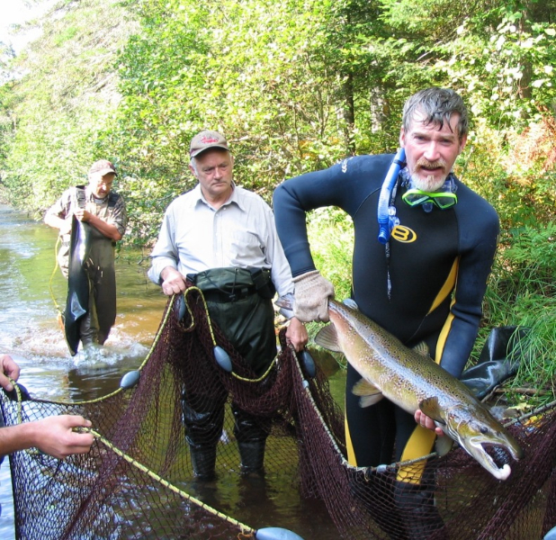 DFO Joe Sheasgreen with large male salmon