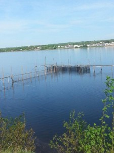 20150527_093302