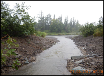 Salmon Brook 2 Salmon Brook
