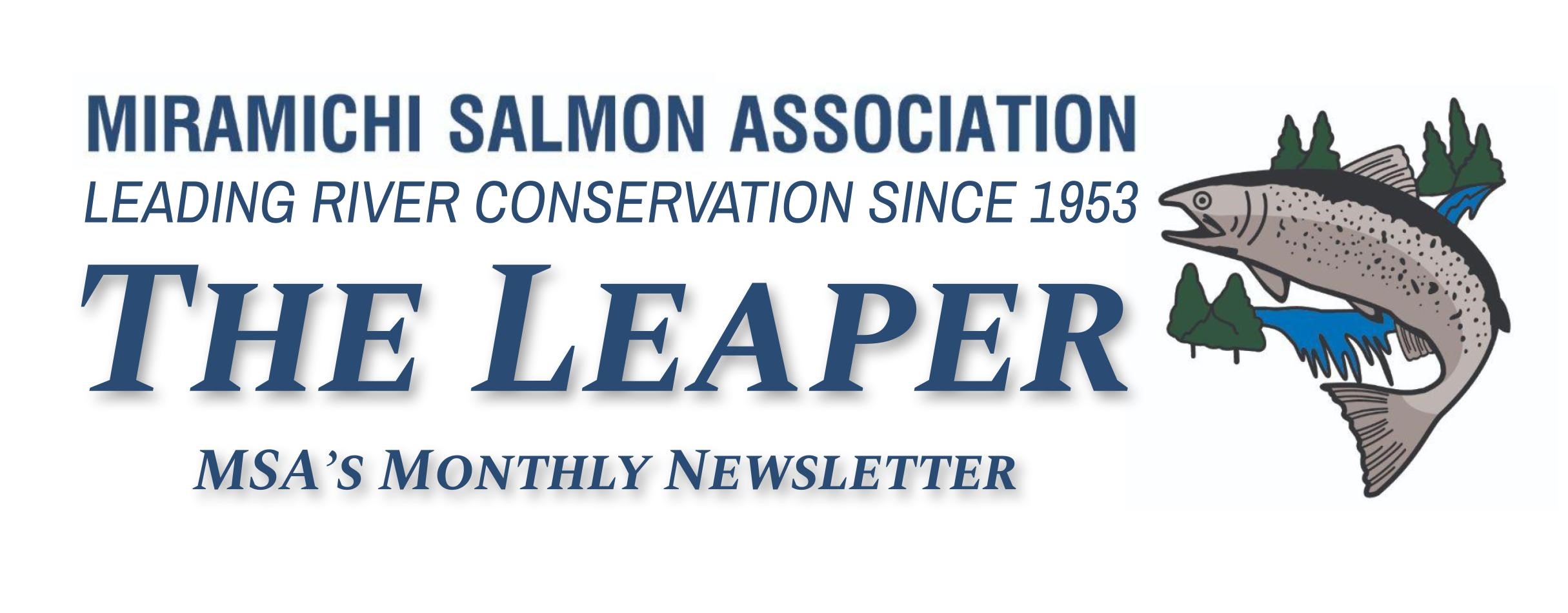 Leaper Logo - revised 2022 Leaper Logo - revised 2022