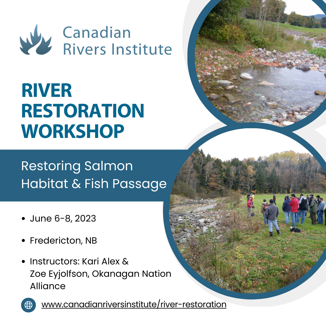 River Restoration workshop 2023